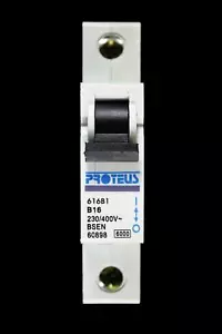 PROTEUS 16 AMP CURVE B 6kA MCB DISYUNTOR GEYER 616B1 - Imagen 1 de 6