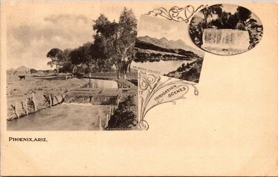 Irrigation Scenes, Phoenix, Arizona Postcard - Image 1 of 2