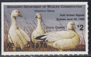 USA Mississippi postfrisch Wasservögel Enten Jaffe MS13 Wert 9,00 $ - Bild 1 von 1