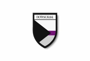 PATCH PATCHES EMBLEM IRON ON GLUE PRINT FLAG crest demisexual semisexual - Picture 1 of 1