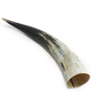 Genuine Ox Horn Viking Drinking Horn | 300ml - 500ml | Perfect for Reenactment - Picture 1 of 3