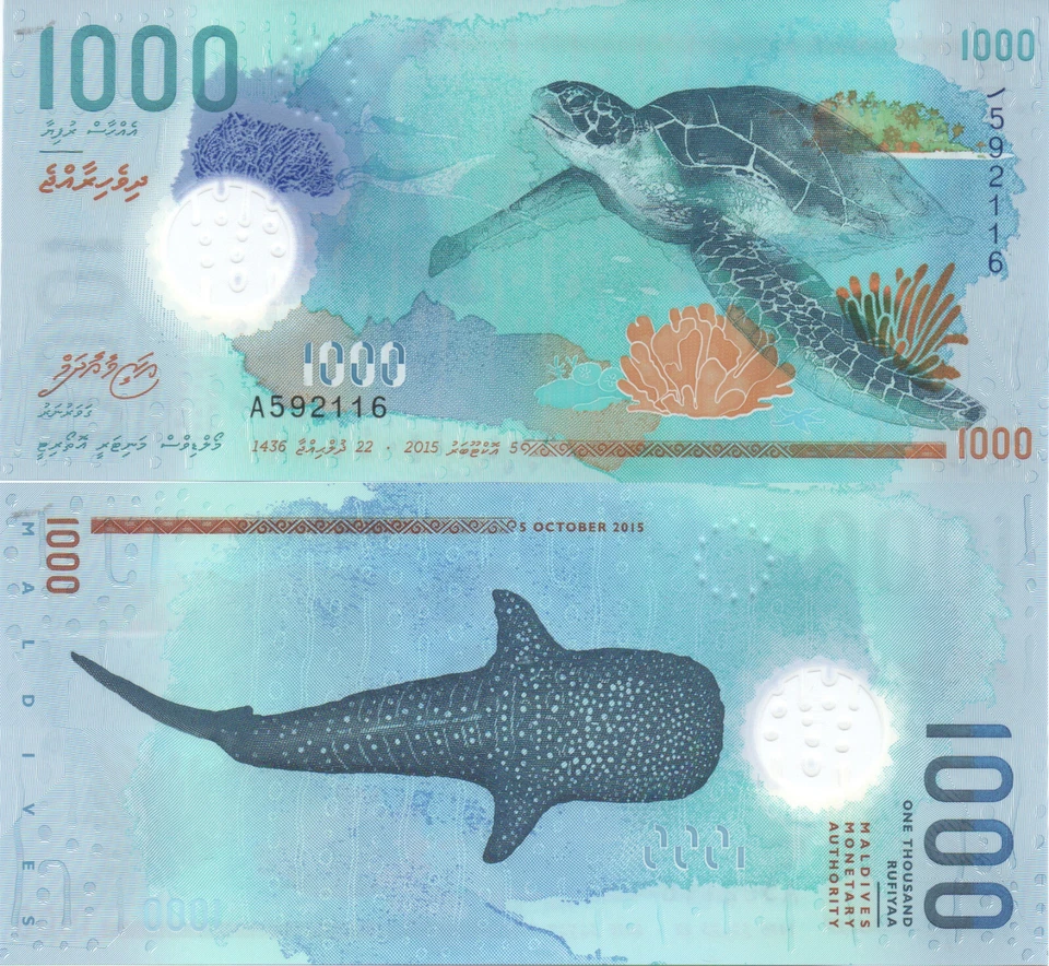 Maldives Polymer P31 1000 Rufiyaa 2015 UNC P 31 - Image 1 of 1