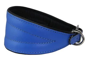 Real Leather Extra Wide Padded Tapered Dog Collar Blue Greyhound Dachshund - Picture 1 of 6