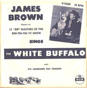 JAMES BROWN-(LT. RIP MASTERS)-TV SERIES WHITE VARIATION PICTURE SLEEVE+45--PS - Foto 1 di 2