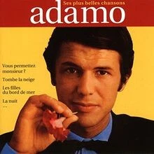 LES PLUS BELLES CHANSONS von Salvatore Adamo | CD | Zustand gut - Bild 1 von 2