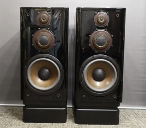 Par de Altavoces Hi-Fi DIATONE DS-2000ZX Reparados Excelente Estado Funcionando - Imagen 1 de 9