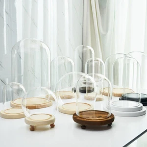 Glass Display Dome Bell Jar Cloche Wood Base Figure Action Stand Landscaping DIY - Picture 1 of 20