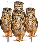 Owl To Keep Birds Away, 4 Pack Bird Scare Owl, Reflective Hanging Bird