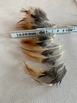 Federn Natur Basteln Ostern Künstler Fliegenfischen zw. 5 bis 10 cm mehrfarbig  - Bild 1 von 4