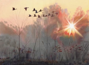 original painting 30 x 40 cm 182DM artwork watercolor modern bird&sunset - Picture 1 of 4