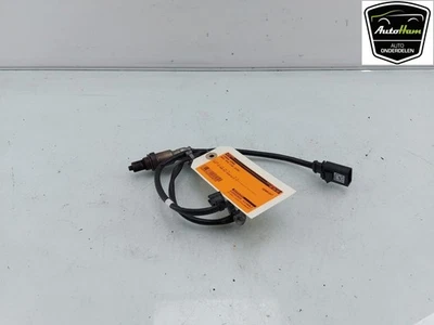 SENSORE LAMBDA Audi RS 4 Avant (B9) Combi 2.9 V6 TFSI 24V (DECA) 2019 8W0906265C - Изображение 1 из 3