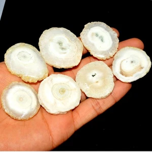 7 Pcs 557 Cts Natural Solar Quartz Druzy Loose Gemstone Lot 48x35 31x31mm #3527 - Picture 1 of 4