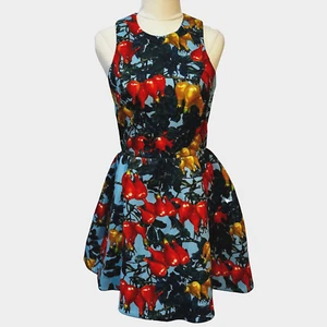 NEW cameo | Blue/Multicoloured Patterned Mini Dress | Sz: Small Cocktail/Wedding - Picture 1 of 12