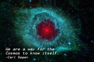 iron outer space CARL SAGAN INSPIRATIONAL quote poster 20x30 truth WISDOM - Picture 1 of 1