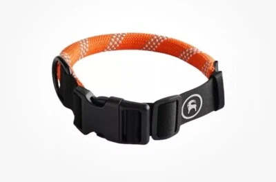 Collar de perro Backcountry x Petco cuerda naranja amortiguador XL XXL raza grande Foto 1 de 3