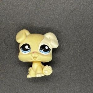 LPS Littlest Pet Shop #1706 Bebé Boxer Cachorro Perro Crema Blanco Azul Punto Ojos - Imagen 1 de 15