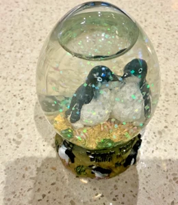 Snow Globe - Penguins Phillip Island  -  Sell for Charity - Picture 1 of 8
