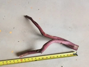 Manzanita forked branch 20.5" long #27 - Picture 1 of 4