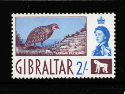 GIBRALTAR. SG170 MONTADO COMO NUEVO. Foto 1 de 2