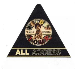 Bad Boy Family Reunion 20th Anniversary 2016 Tour schwarz All Access unbenutzter Pass - Bild 1 von 2