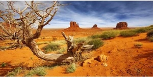 36X18 Inches Reptile Habitat Background Orange Desert Terrarium Background Durab - Picture 1 of 4