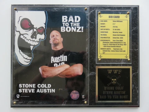 Stone Cold Steve Austin WWF Bad to the Bonz Plaque WWE Memorabilia Wrestling Cover