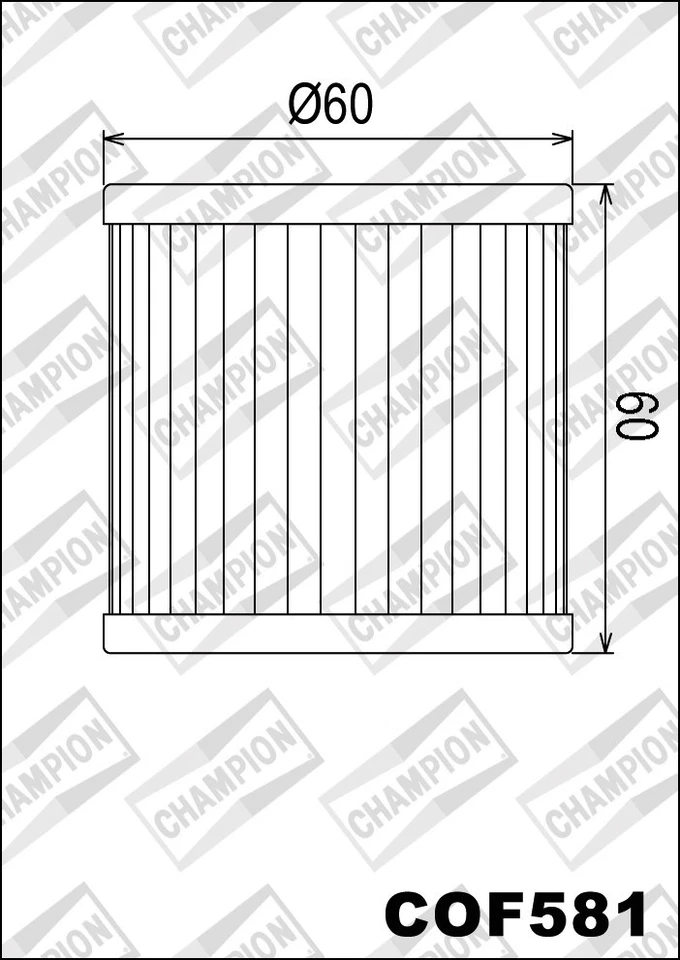 COF581 Filtro Olio CHAMPION Hyosung	GT650 R Comet EFI	650	2009 2010 2011 2012  Foto 1 de 1