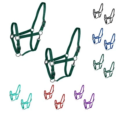 Pacote com 2 suportes ajustáveis para cavalos Majestic Ally – queixo e coroa ajustáveis - Imagem 1 de 4