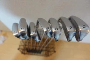 PRGR egg FORGED 2018 7pcs 6-Aw-Pw-As Iron Set M-40 Flex M40 SR Original Graphite - Picture 1 of 17