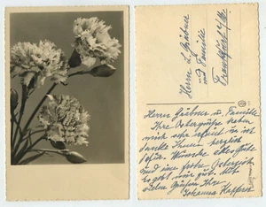 95610 - Blüten - Echtfoto - undatierte Grußkarte zu Ostern - Bild 1 von 1