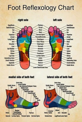 Reflexology Foot Massage Chart – Vintage-Style Unframed Poster for Spa & Therapy - Image 1 of 4