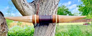 MOUNTED STEER BULL HORNS COW BOY HORN LONGHORNS 20" Tip to Tip LONG #34 - Picture 1 of 6