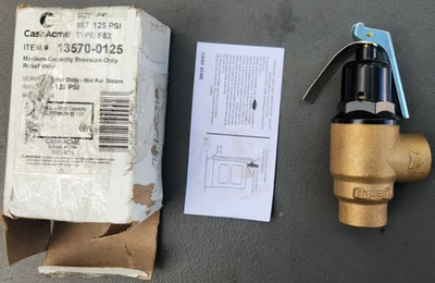 CashAcme 3/4" F82 Medium Capacity Pressure Relief Valve (125 PSI), 13570-0125 - Image 1 of 4