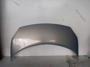 841424 Bonnet for RENAULT SCENIC II AUTHENTIQUE 2003 841424 - Picture 1 of 8