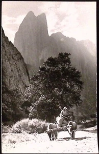 Mountain View Huasteca Monterrey Mexico Man Rides Ox Cart 1940s RPPC - Bild 1 von 2