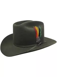 Sombrero de Vaquero Stetson 6X Piel de Castor Rango Salvia con Cepillo de Sombrero Gratis - Imagen 1 de 7