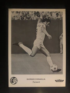 GIORGIO CHINAGLIA 8 x 11 FOTO official NEW YORK COSMOS Progresso - Bild 1 von 2