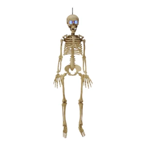 3' Plastic Posable Skeleton Decoration Prop w Life Like LED Animated Eyes New - Picture 1 of 8