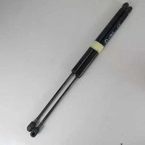 Pistoncini baule portellone 8.200.616.559 Renault Scenic Mk2 (31162 20V-3-D-8) - Foto 1 di 1