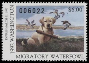 1991 Washington State Duck Stamp. Mint Never Hinged. Original Gum - Picture 1 of 1