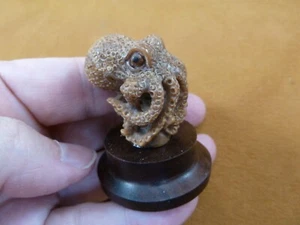 (tb-octo-49) standing Octopus TAGUA NUT palm figurine Bali reef octopi - Picture 1 of 2