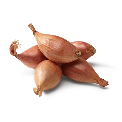 100 SEMI DI SCALOGNO - SEMI FRESCHI + OMAGGIO - SPEDIZIONE GRATUITA - Immagine 1 di 2