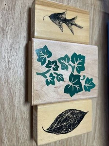 3 Rubber stamp leaf lot wood Block stamps Stampede Anita’s crafts Scrapbook - Picture 1 of 4