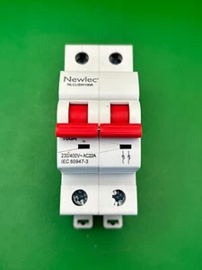 Newlec NLCUSW100A 100A Double Pole Main Switch Isolator - Picture 1 of 4