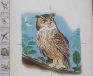 O) 1961 - 1962, MEXICO, ARTWORK, TUBERCULOSIS - EAGLE OWLS - A GENUS OF STRIGIFO - Picture 1 of 1
