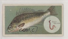 1924 ITC of Canada Fish & Bait Tobacco C11 The Ruffe #27 z6d