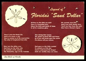 Postcard Legend of Florida's Sand Dollar, Religious Story - Picture 1 of 2