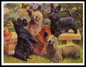 SKYE AND SCOTTISH TERRIER DOGS LOVELY VINTAGE STYLE DOG ART PRINT POSTER - Picture 1 of 1