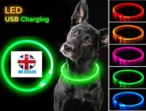 LED Dog Collar Luminous USB Rechargeable Safety Collar for Dogs and Cats 3 modes - Picture 1 of 14
