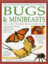 Taylor Barbara Illustrated Wildlife Encyclopedia: Bugs & Minibeasts (Hardback)